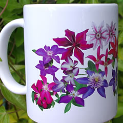 mug DS-119 Cascade of Clematis